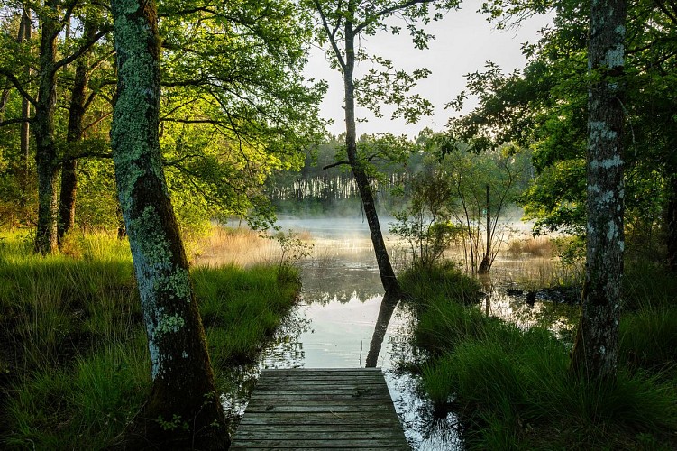 2024 - ARUE - Lagunes de Nabias