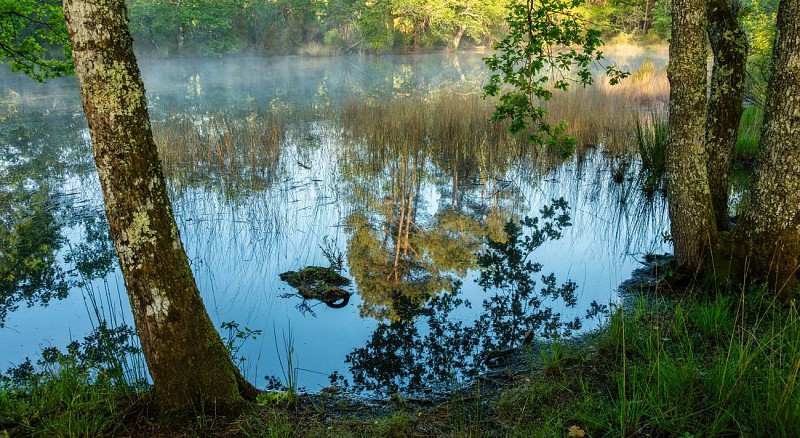 2024 - ARUE - Lagunes de Nabias - ©Arnaud Späni (79)