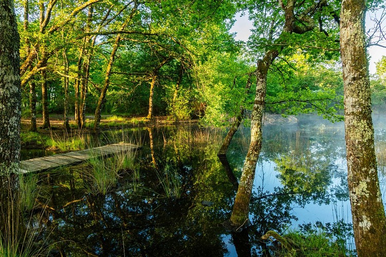 2024 - ARUE - Lagunes de Nabias