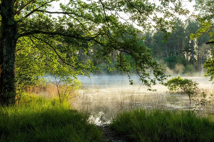 2024 - ARUE - Lagunes de Nabias - ©Arnaud Späni (49)