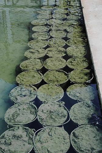 Etablissement thermal Préchacq-les-Bains boues