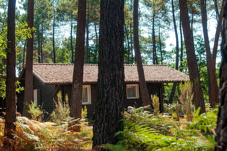 Lacanau nps-GOELIA.Lacanau564