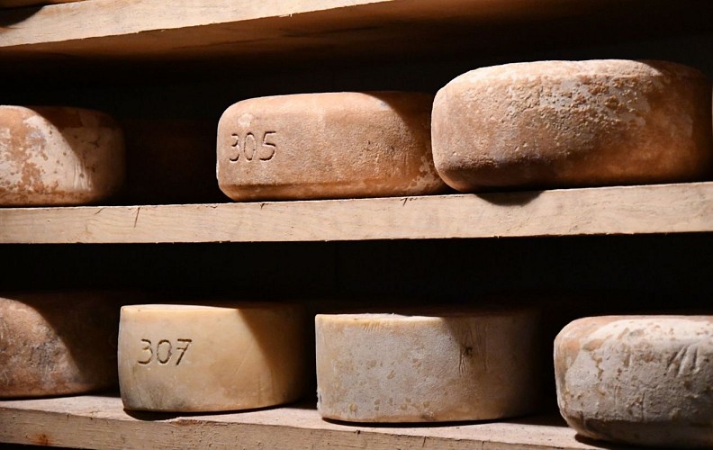 Txiki Combi - Tours gourmands à la rencontre des producteurs locaux