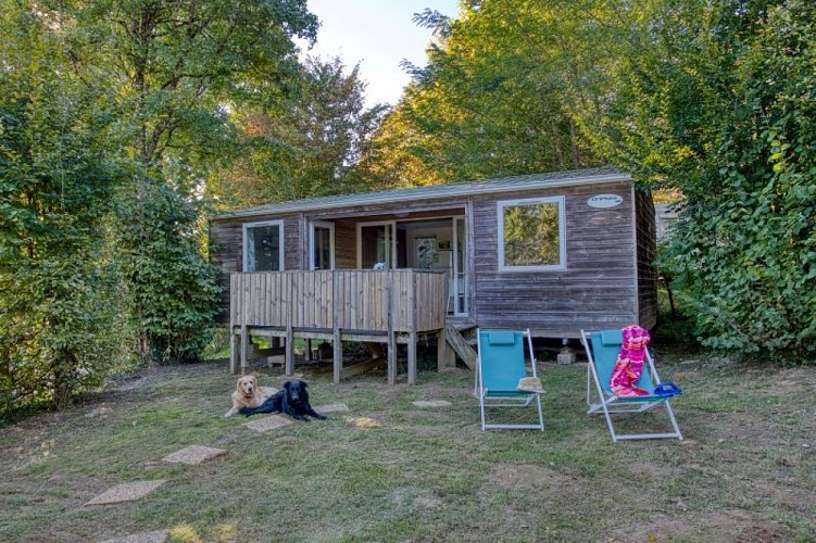 Comimages.5837-sirtaqui