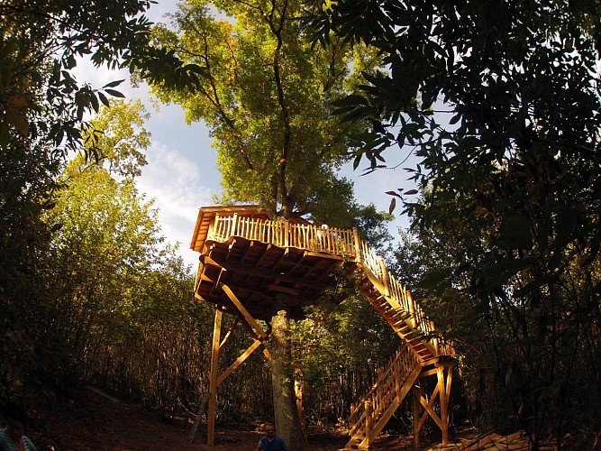 Camping O bois dormant à Lempzours