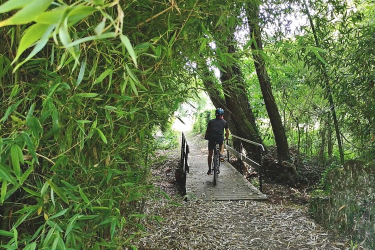 Camping de Testarrouman