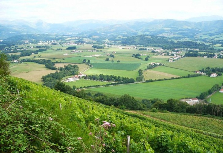 Camping-La-Paix-des-Champs-vue-montagne-basque-st jean le vieux