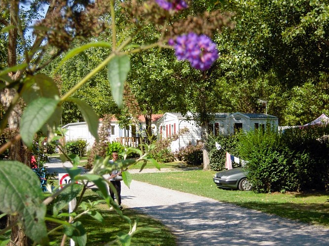 Camping Dorrondeguy - Allée