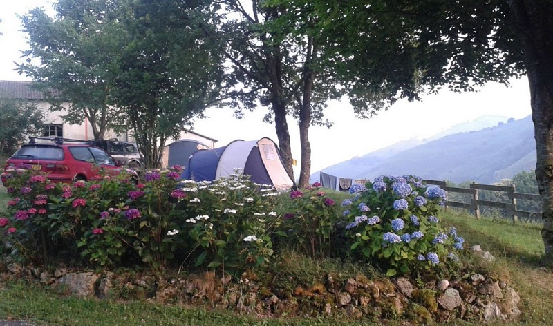 camping-ixtila-foret-iraty-2