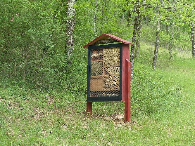 nichoir-insecte-modif