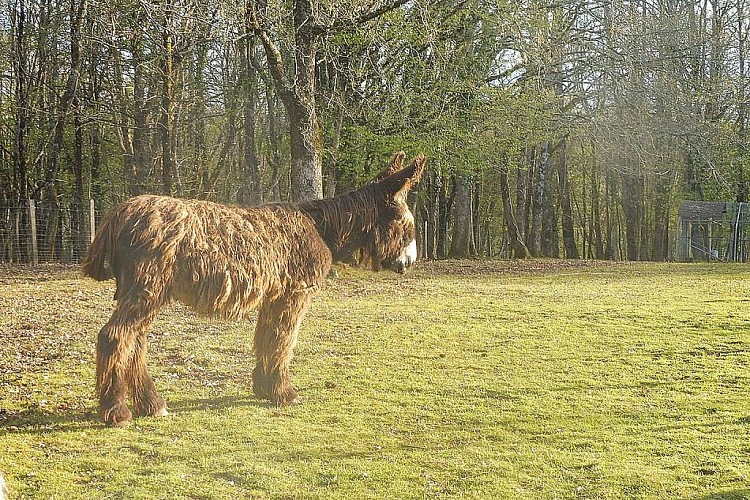 Mielys Sphere Ferme pédagogique Périgord Dordgne ateliers enfant vacances