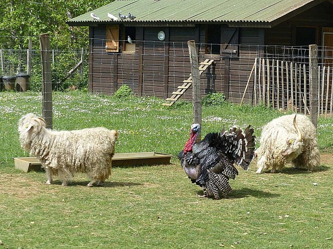Mielys Sphere Ferme pédagogique Périgord Dordgne ateliers enfant vacances