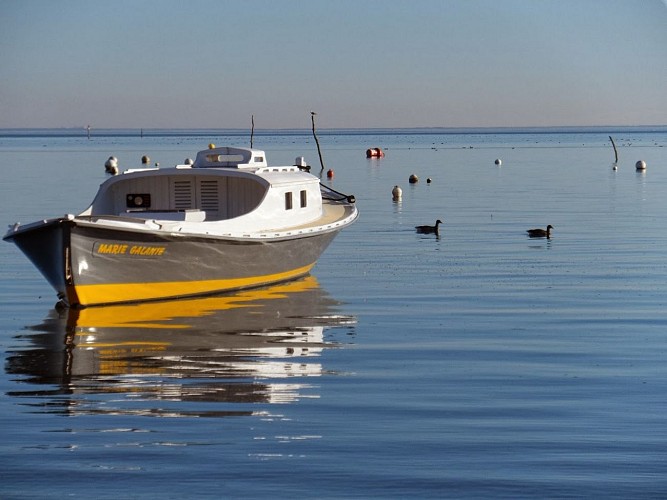 Pinasse_Marie_Galante (1)