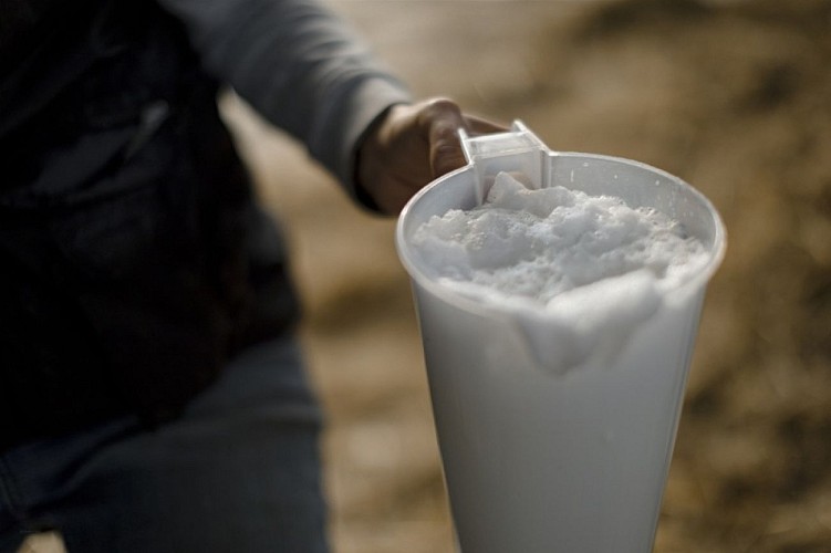 336371493_745672503804688_8829230688910261297_n