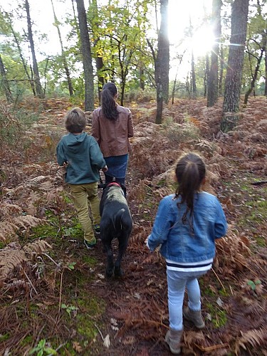 Parcours de santé - Arès - sirtaqui