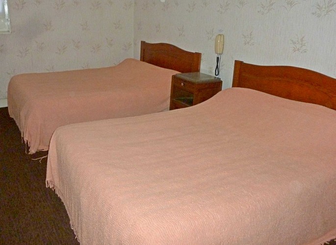 P1010877-retravaille