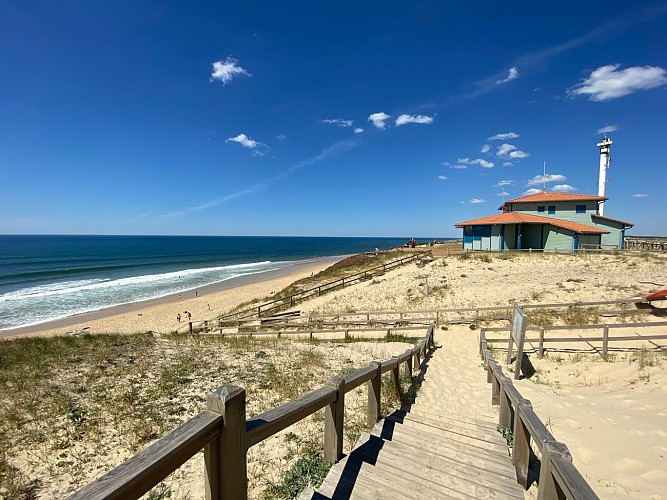 CLNT - LIT ET MIXE - Plage du Cap de l'Homy (21)