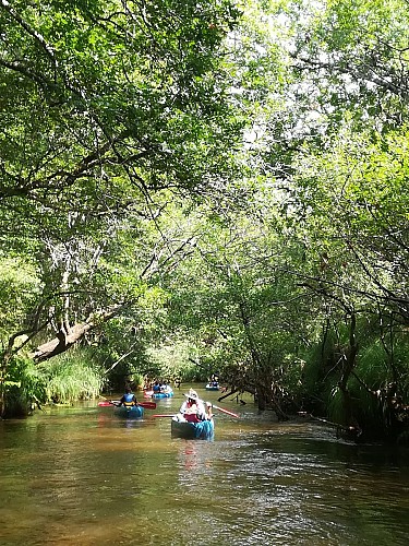 IMG-20180720-160408-credit-lionel-coutin-2