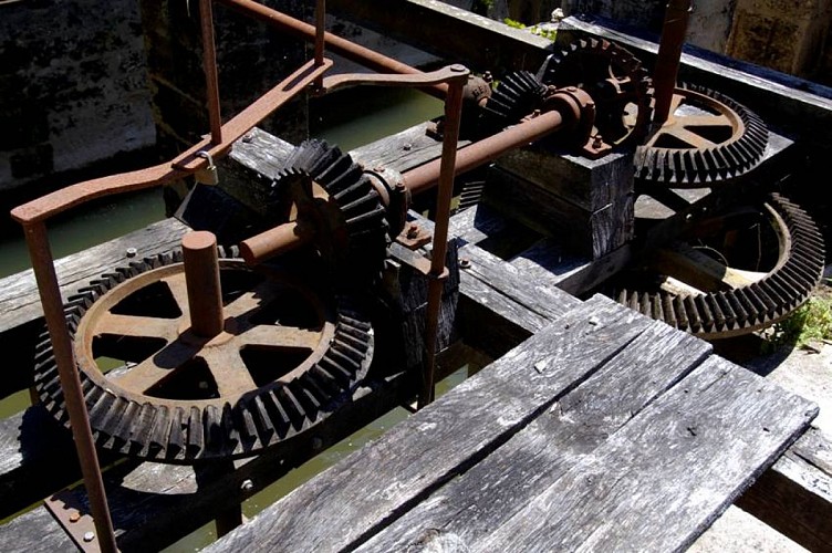 Moulin-duellas-saint-martial-engrenages