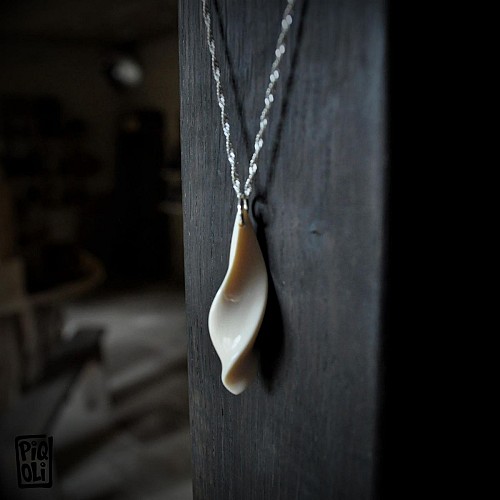 ASCA_Piqoli_octobre2021©Olivier Picquart (3)