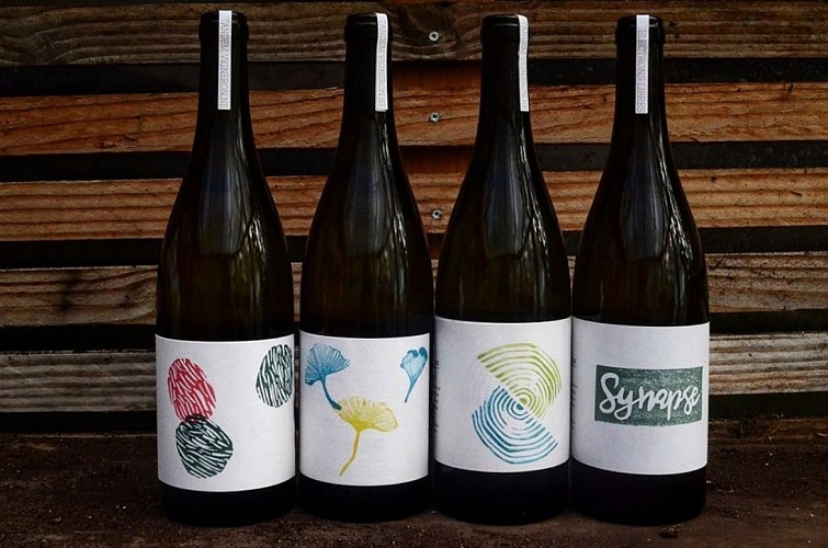 315934932_472440134871685_7245558702977474028_n