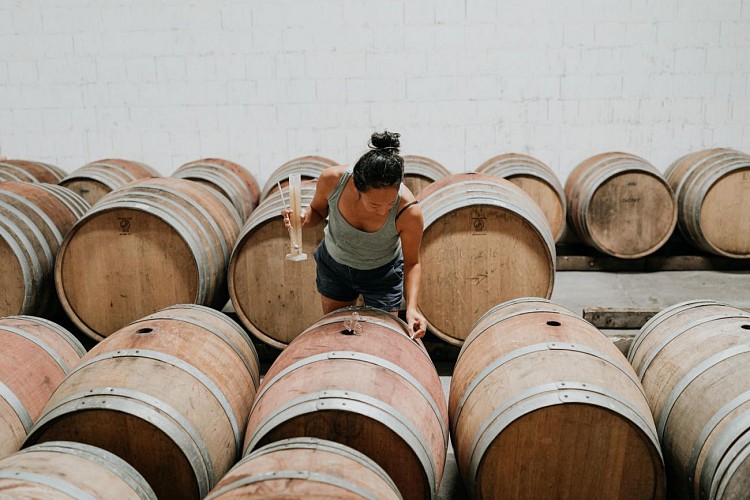 combrillac-vignoble-vendanges-septembre-2022-ulrike-photographe-Bergerac-92