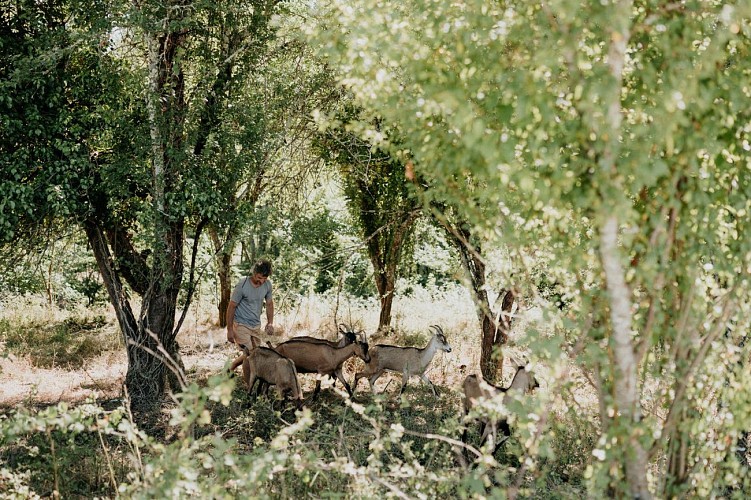 uyen-florent-combrillac-born-to-be-wild-ulrike-photographe-dordogne79