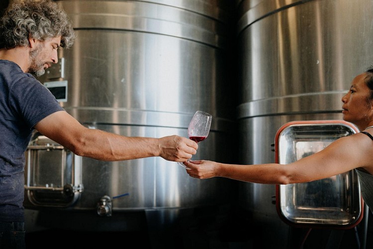 combrillac-vignoble-vendanges-septembre-2022-ulrike-photographe-Bergerac-68