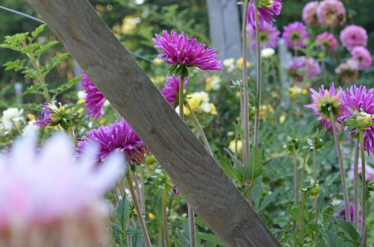 edenetsens-reclus--2-