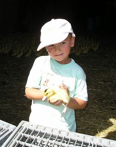 Produits cuisinés (canards gras) - Ferme de Puypelat