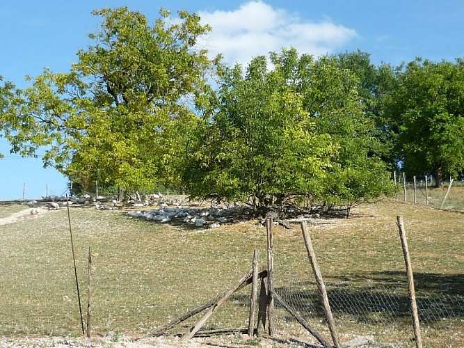 Produits cuisinés (canards gras) - Ferme de Puypelat