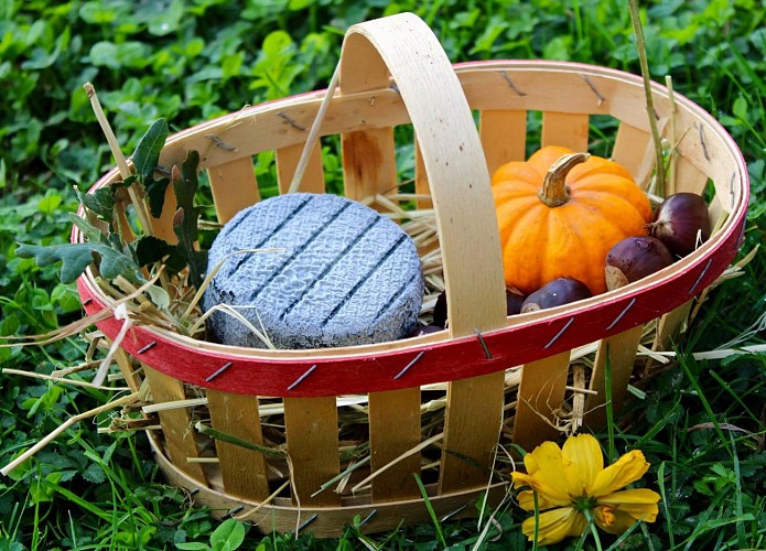 44211321-245023492835188-1442683259937882112-o