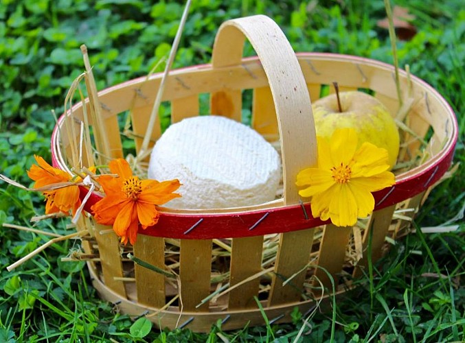 44219793-245023242835213-186037440434143232-n