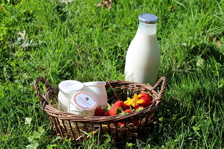 44232047-245272639476940-6754690148681646080-o