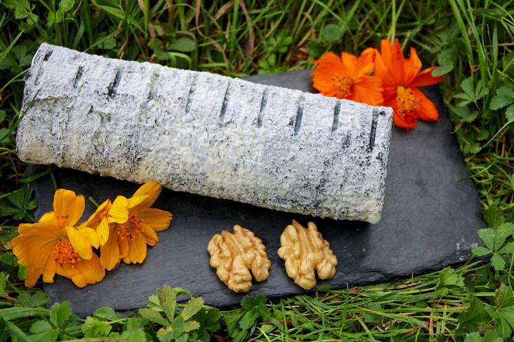 44337392-245024036168467-4587818318227832832-o