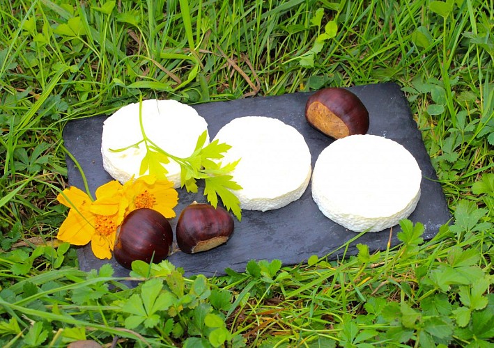 44243154-245023919501812-744258364279619584-o