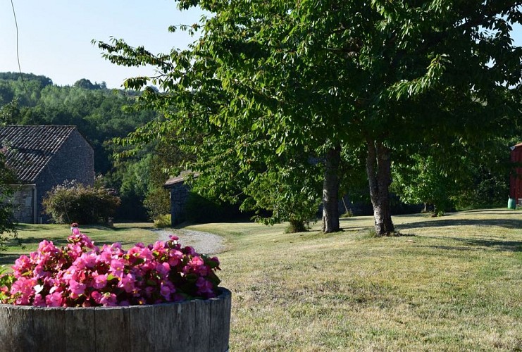 autour_saussignac-chateau_la_maurigne (65)-2