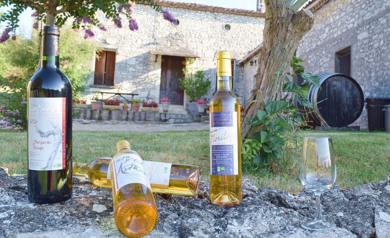 autour_saussignac-chateau_la_maurigne (12)-2