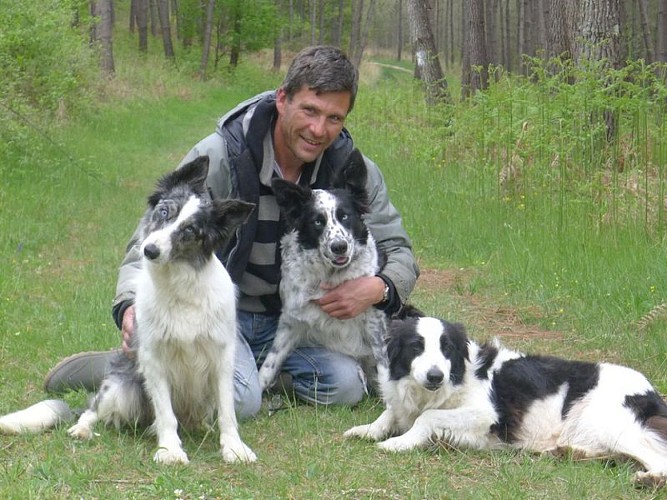 chateau-de-peyrel (6)