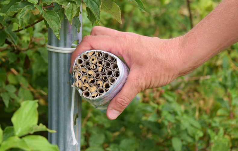 autour_velines-domaine_de_perreau (122)-2