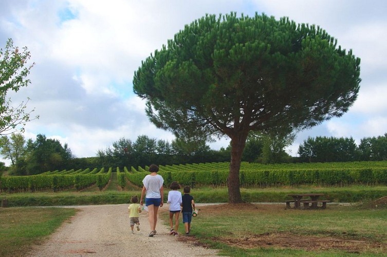 Depart du domaine_réduite