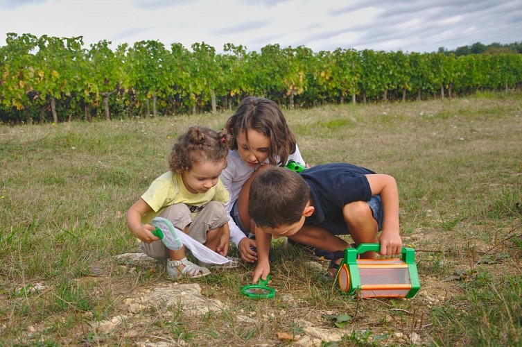 Observation des insectes_réduite