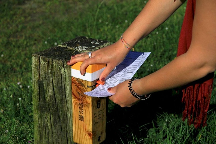 AllWater-Orientation06--Copier-