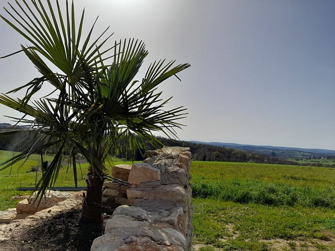 Dame-blanche-Genis (13)