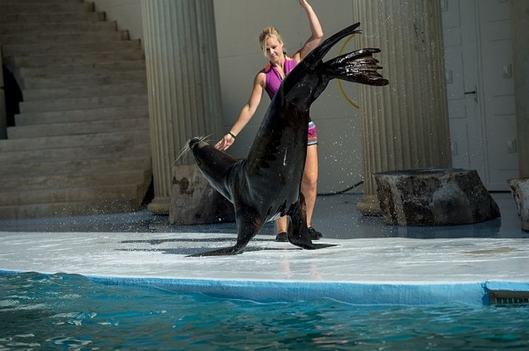 walibi-otaries-destination-agen-tourisme