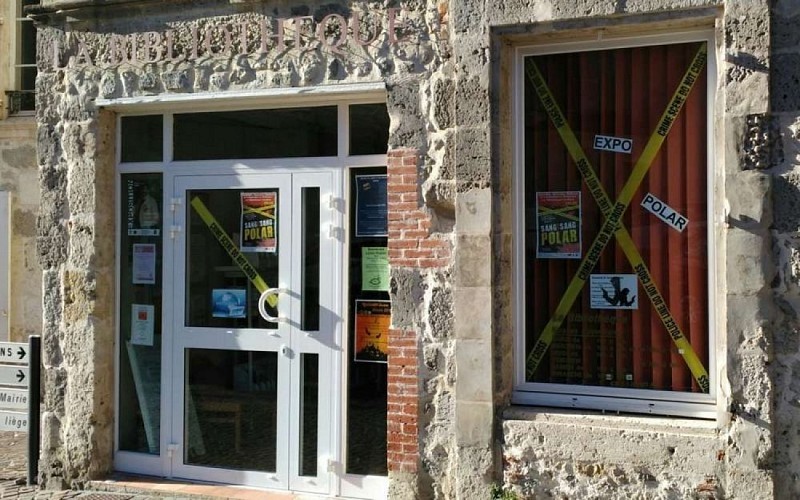 Bibliotheque-de-Mezin-6