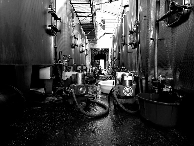 château pierre de montignac 5