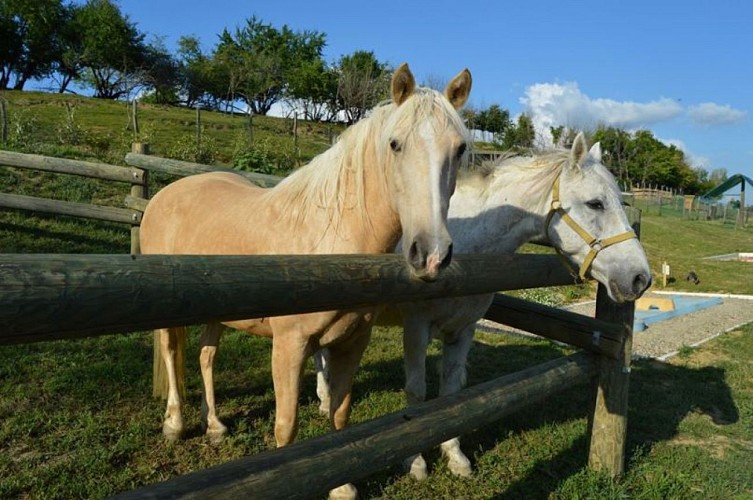 Melly Golf Pavan Castelnau sur Gupie