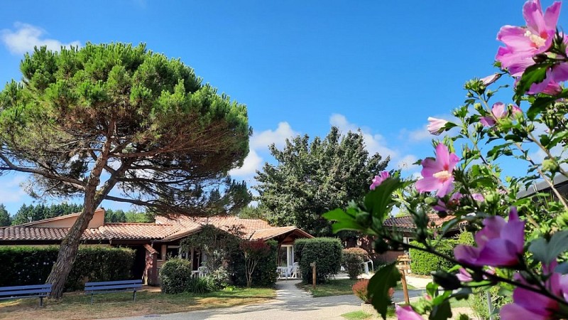 Le pavillon des acacias