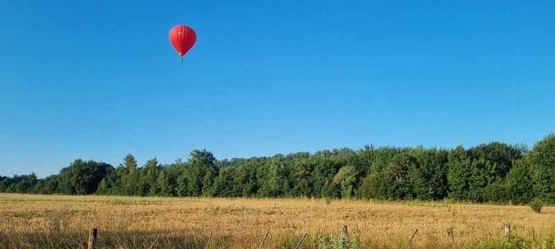 Top Balloon (5)